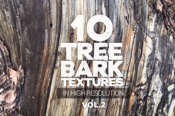 1 Tree Bark Textures Vol 2 x10 (2340)